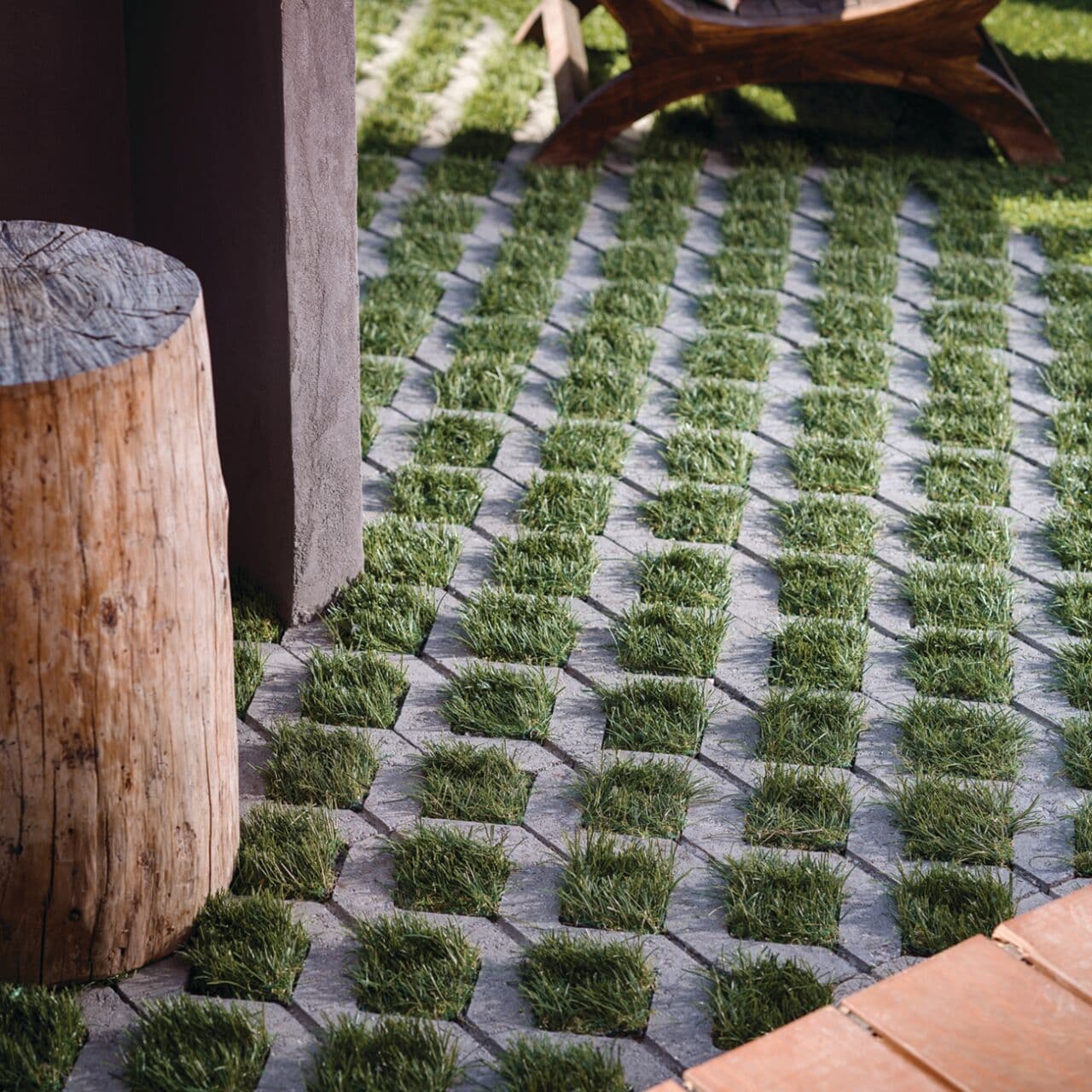 Turfstone — view 3
