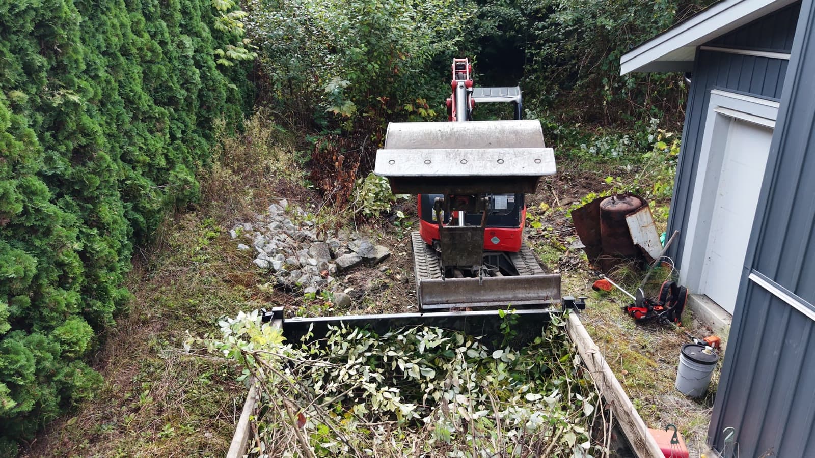 Blackberry Bush Removal — Daedalus Contracting, Lower Mainland BC