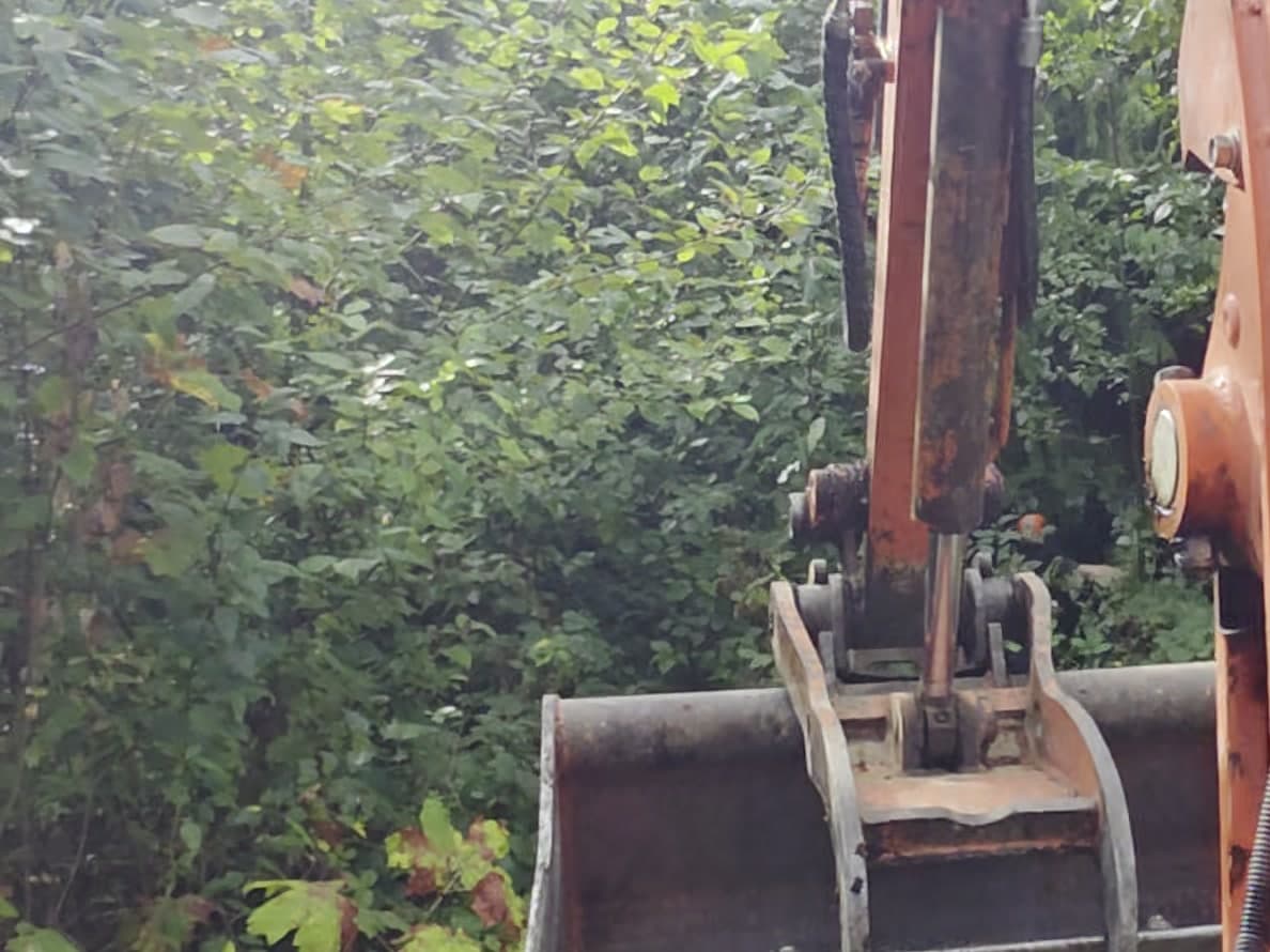 Land & Lot Clearing — Daedalus Contracting, Lower Mainland BC