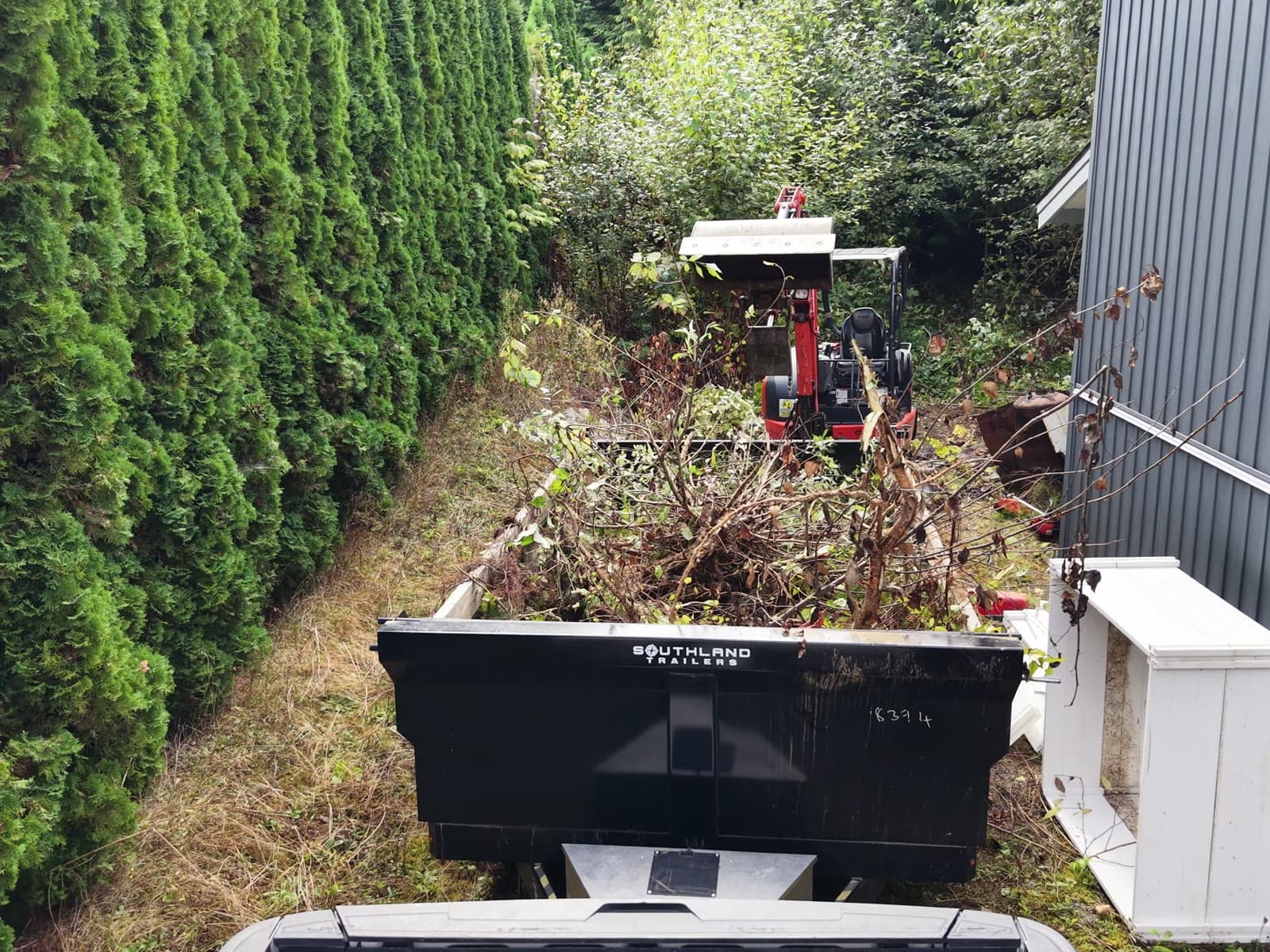 Yard Waste & Debris Haul-Away — Daedalus Contracting, Lower Mainland BC